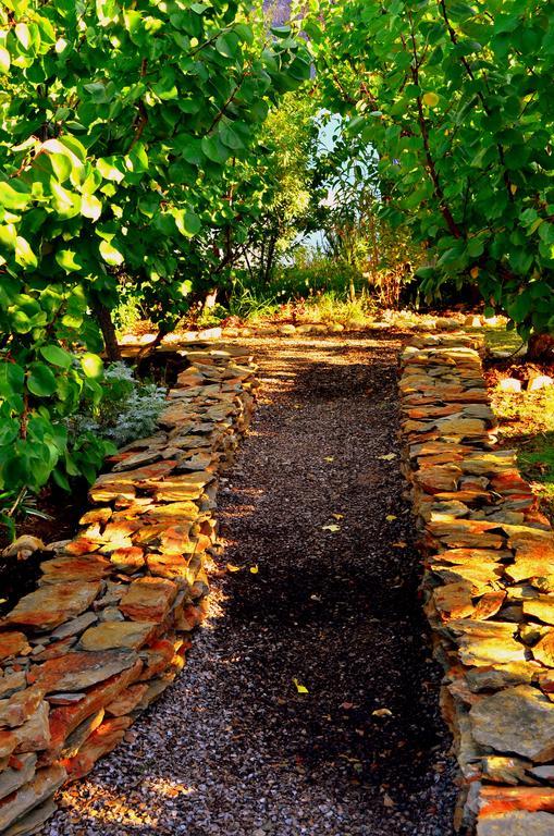 Country house Orchard *